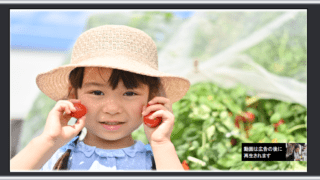 動画の広告活用法②